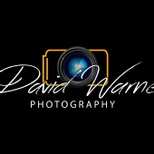 David Warner - Logo