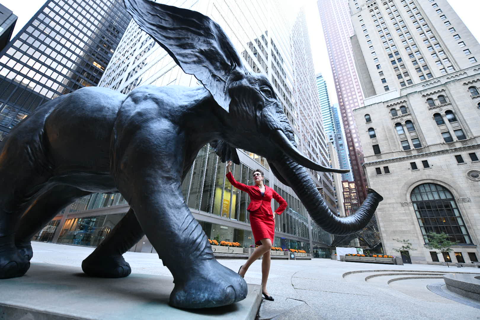 The Universal Appeal - Corporate