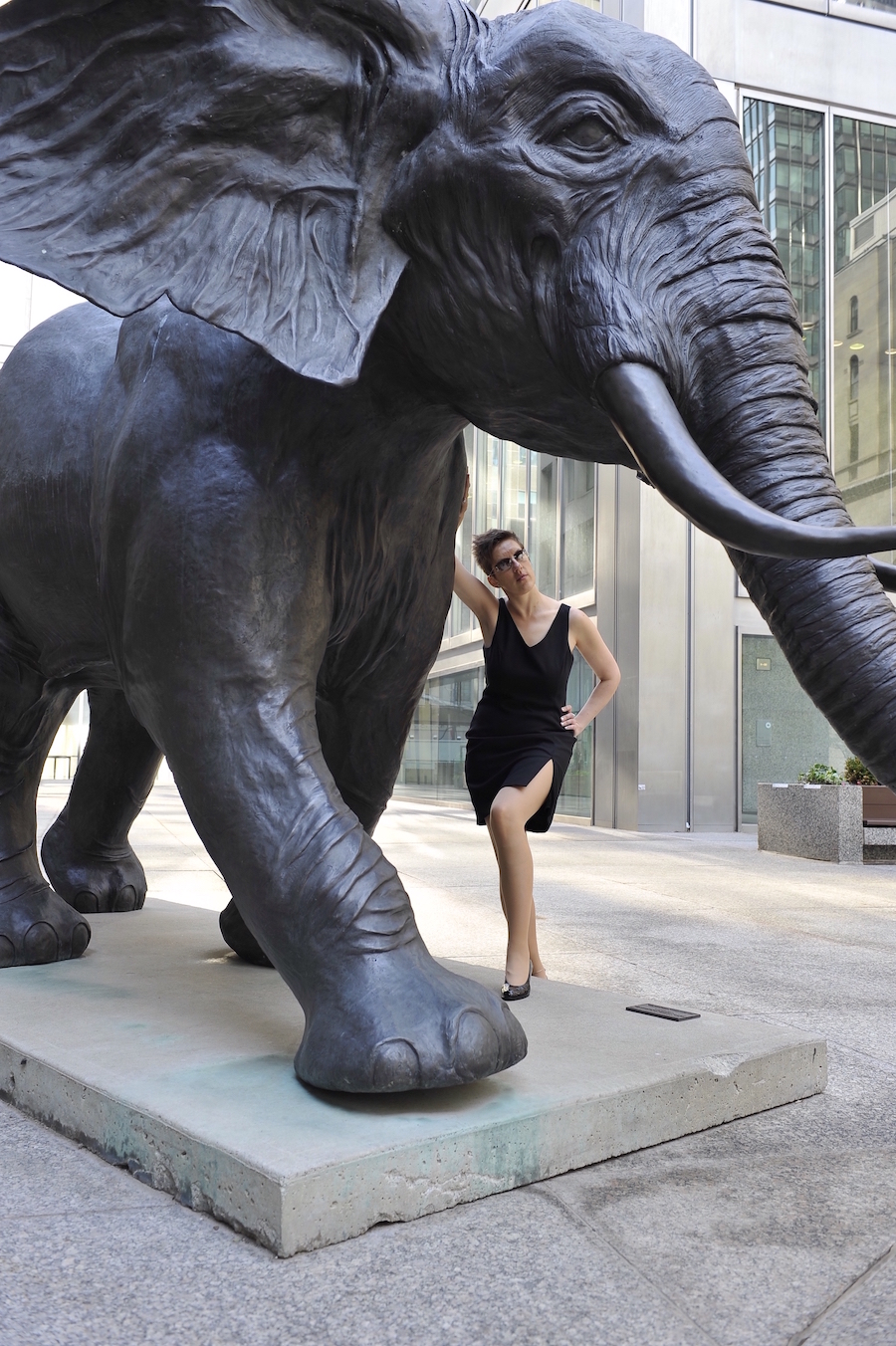 The Universal Appeal - Corporate