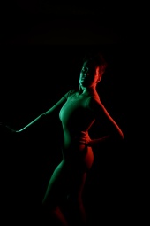 The Universal Appeal - Fitness