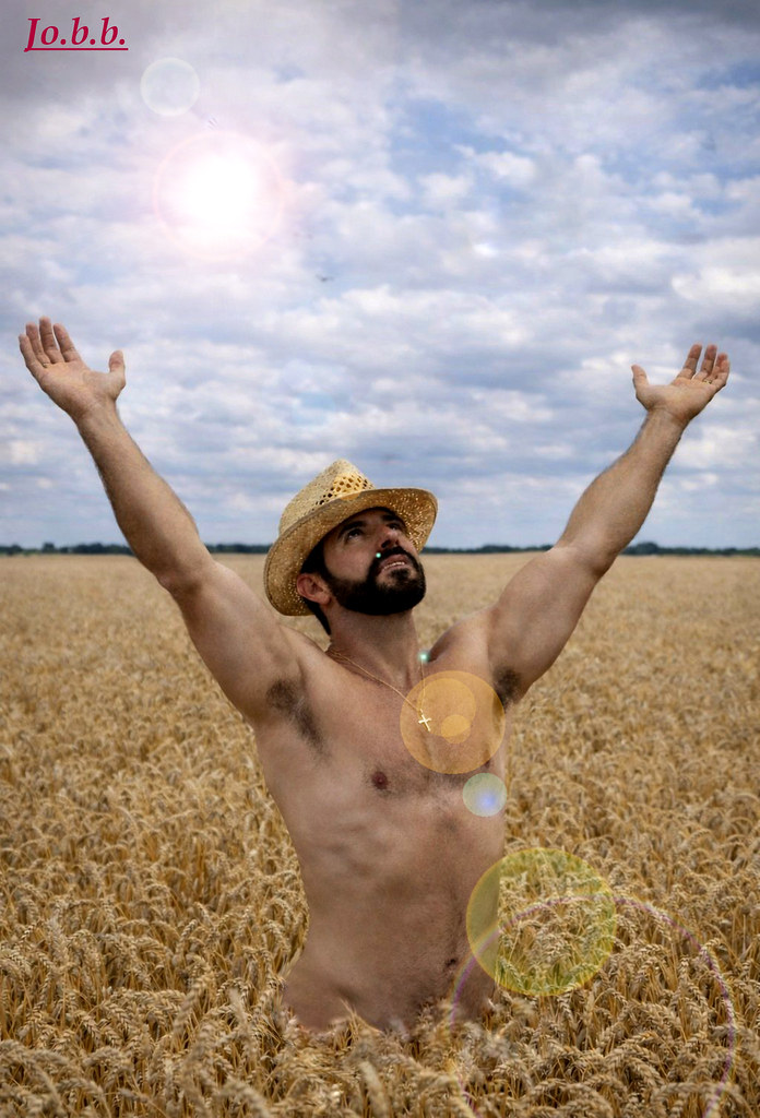 giobanni limi - Campo di grano