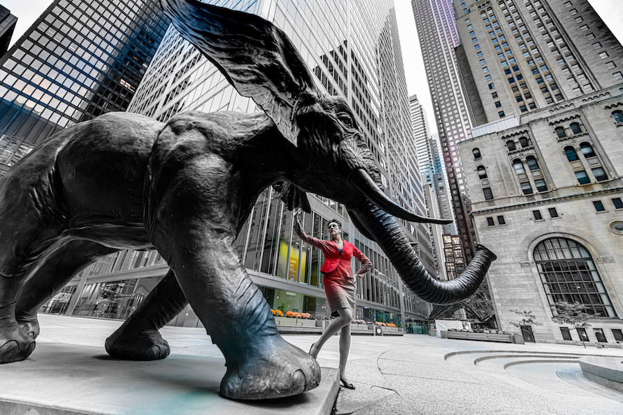 The Universal Appeal - Corporate