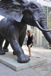 The Universal Appeal - Corporate