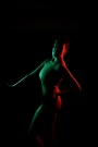The Universal Appeal - Fitness