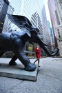 The Universal Appeal - Corporate