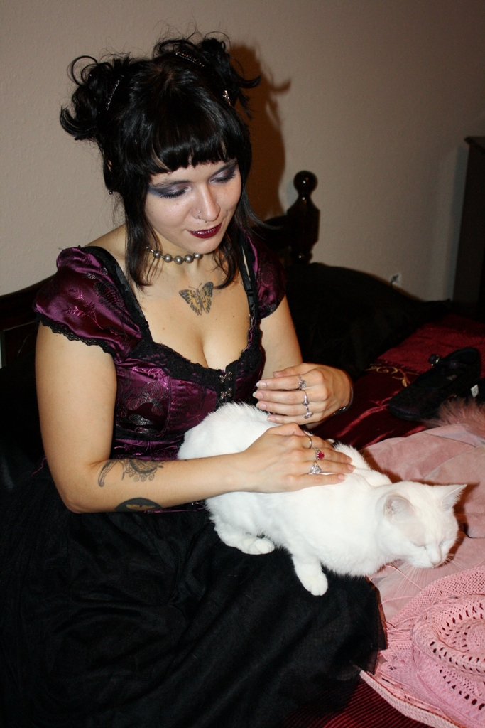Rupert Vinder - Shy White Cat