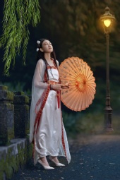 Wen Bo Chiang - Moonlit Elegance