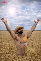 giobanni limi - Campo di grano